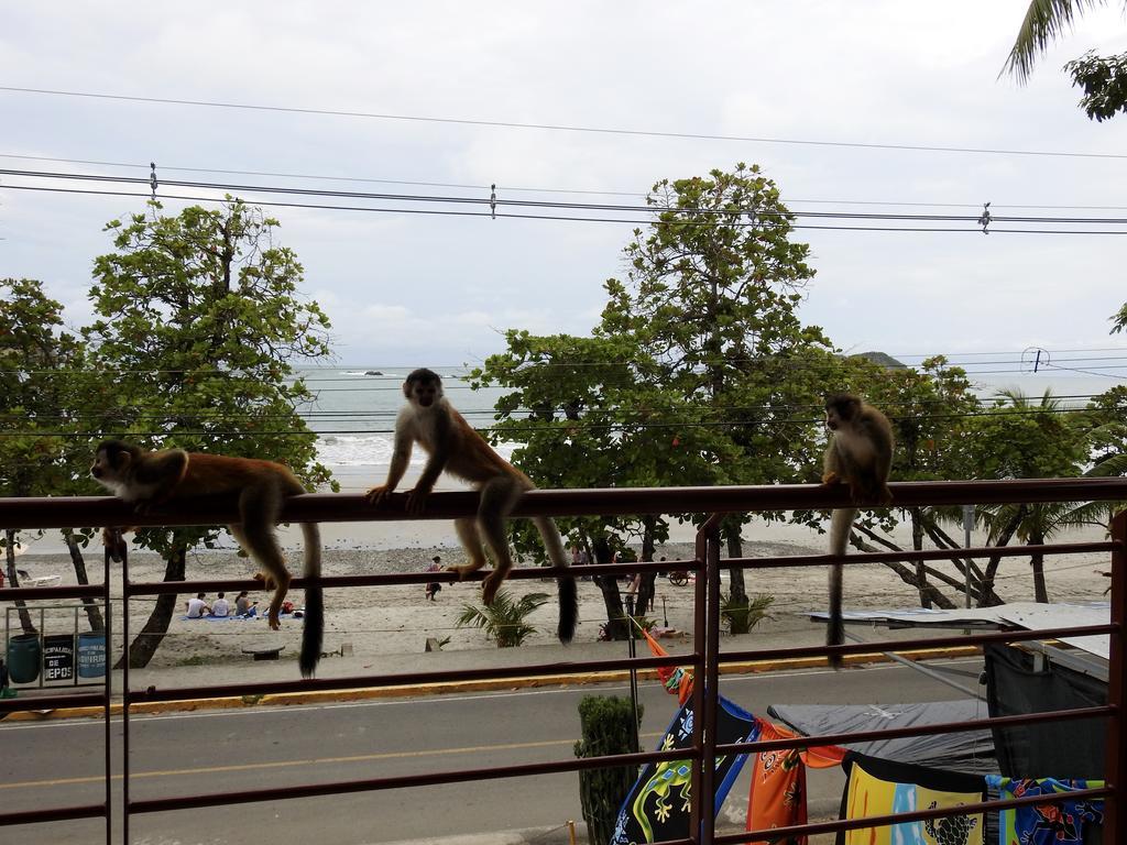 The Elephant Castle Beach Front Penthouse Nationalpark Nationalpark Manuel Antonio Exterior foto